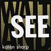 Karen Sharp - wait and see